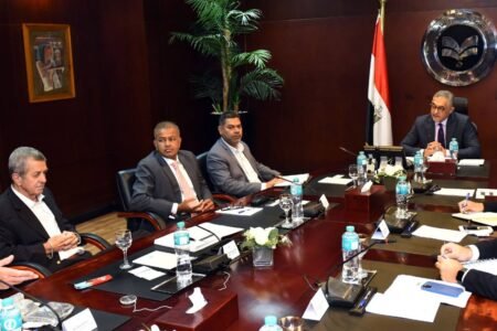 Mauritian companies to establish major e-waste recycling project in Egypt: GAFI