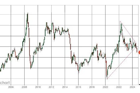OPEC+ risks losing control of oil markets – Chemicals and the Economy