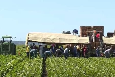 New report highlights economic challenges and opportunities in Monterey County
