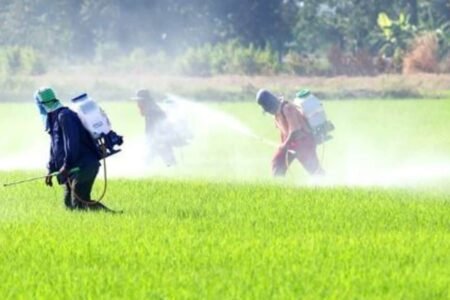 IPO News Today highlights on October 25, 2024 : Godavari Biorefineries IPO subscribed 1.83